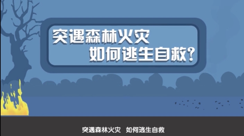 突遇森林火灾如何逃生自救